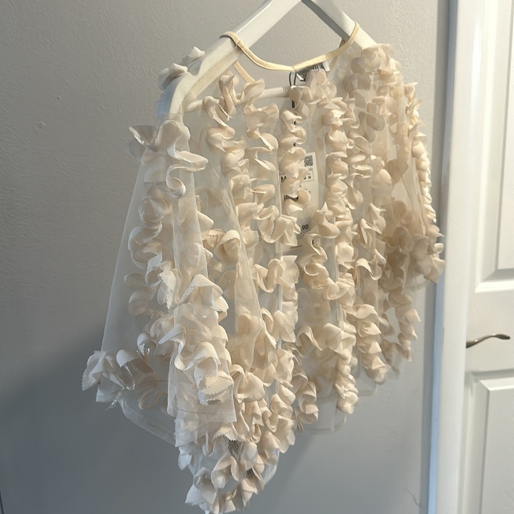 Zara Textured Tulle Top Semi-sheer Top Round Neck Short Sleeve - Picture 5 of 7